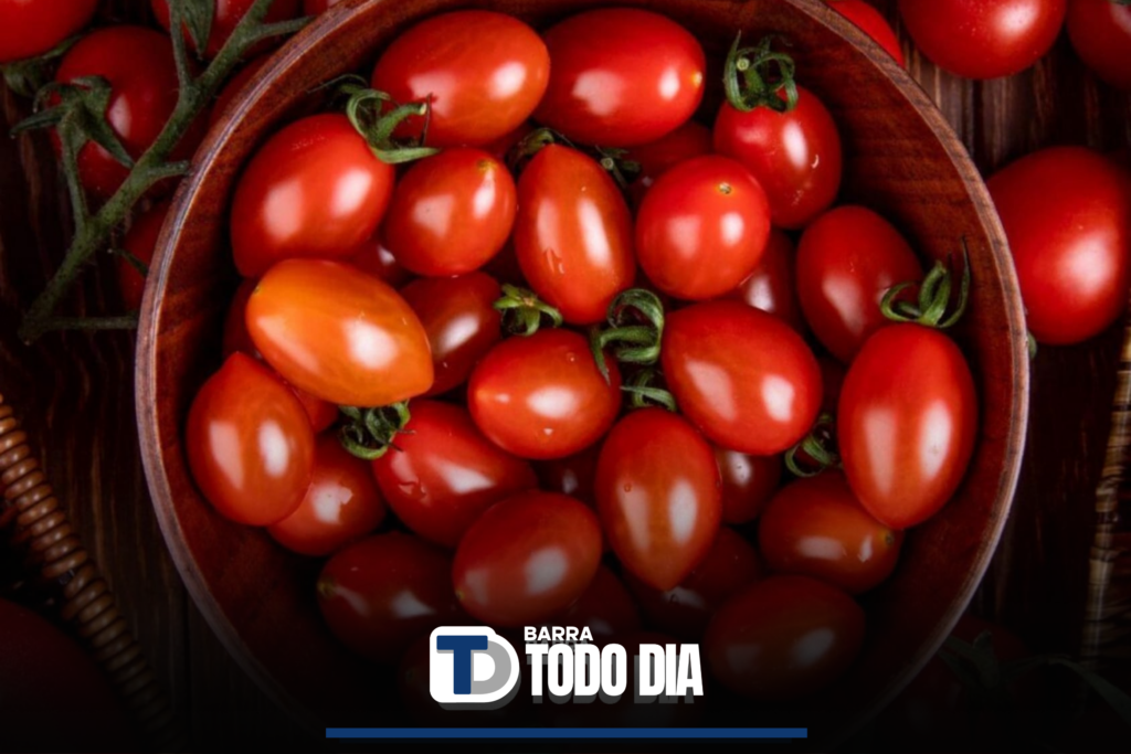 Por Que O Tomate Poderoso Na Preven O De Doen As Barra Todo Dia